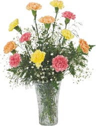 Grower Direct Fresh Cut Flowers a franchise opportunity from Franchise Genius